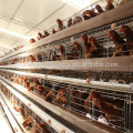 popular good quality hot selling poultry farm house